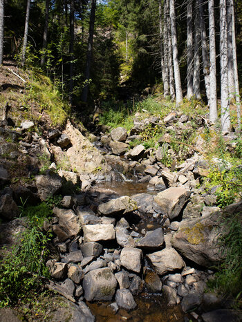 Blick hinauf zum Roodbach-Wasserfall