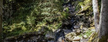 der Roodbach-Wasserfall in der Haslachschlucht