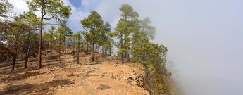 Abstiegspfad unterhalb des Risco Las Yedras mit Ausblick übers Valle de Tamadaya