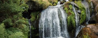 Kaskaden begleiten den Weg entlang der Triberger Wasserfälle