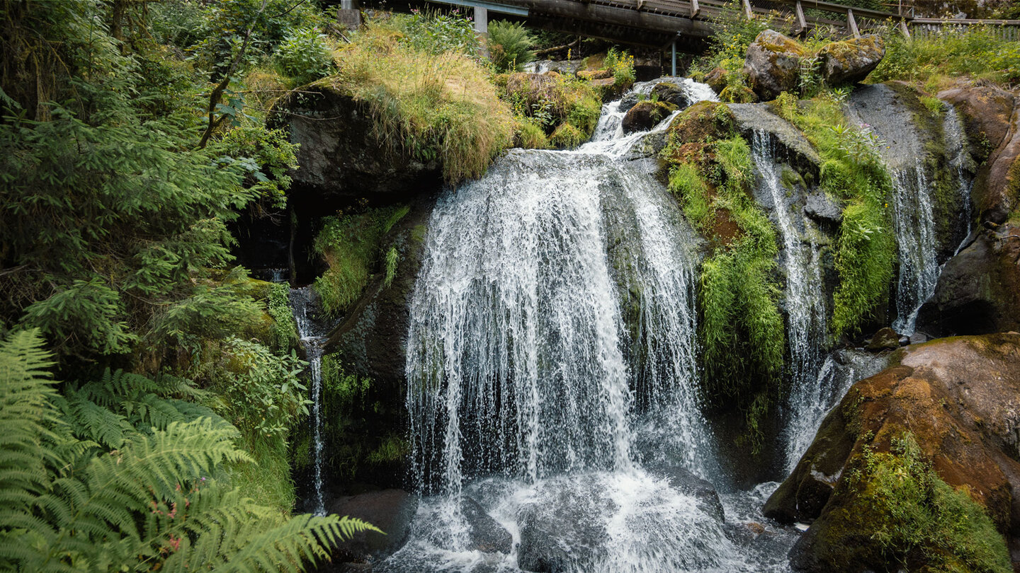 Kaskaden begleiten den Weg entlang der Triberger Wasserfälle