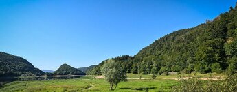 Auenlandschaft am Nordufer des Lac de Kruth-Wildenstein
