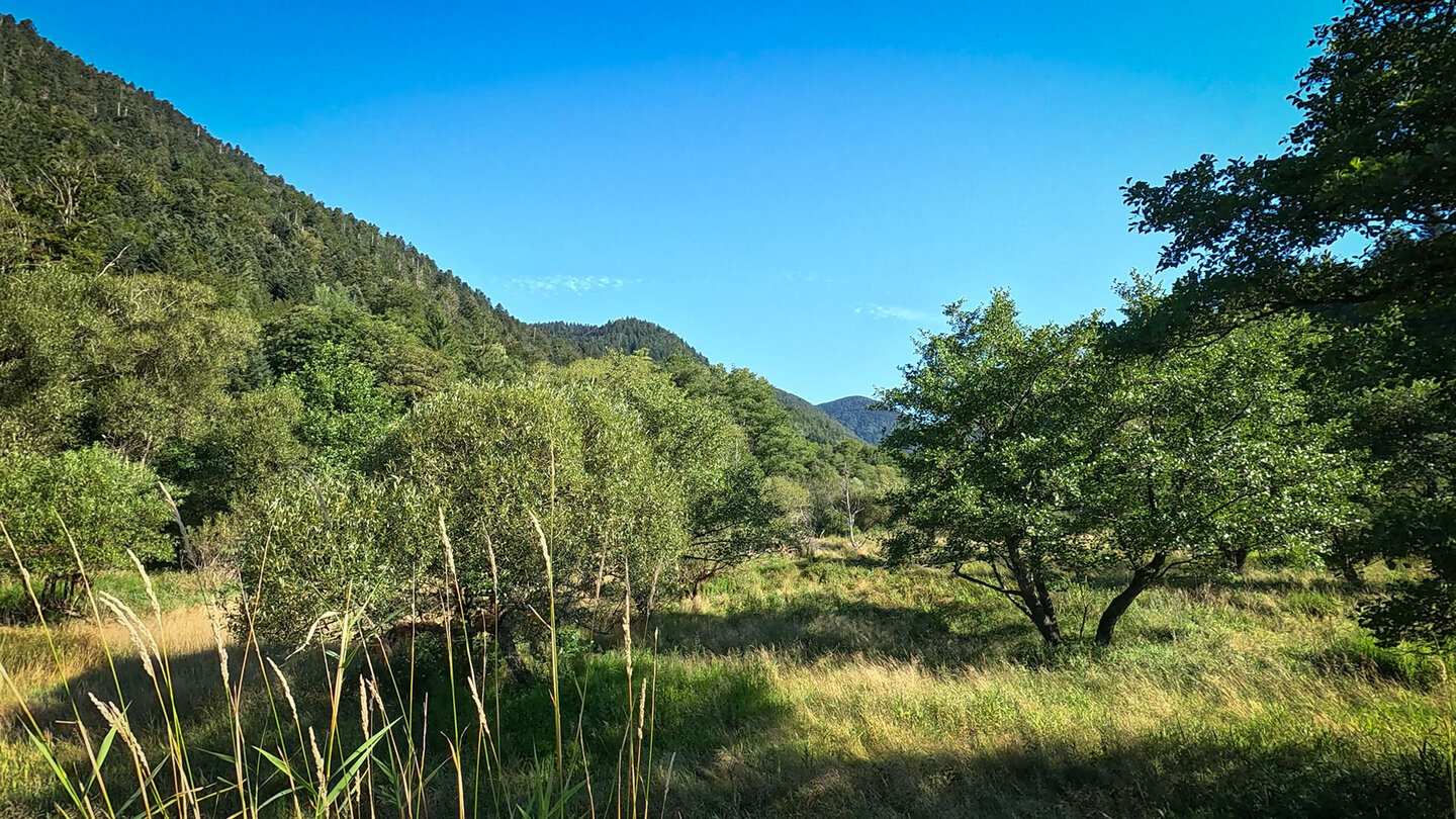 eine Wanderung durch die Wiesen im Tal der Thur Wanderung durch Wiesen im Tal der Thur