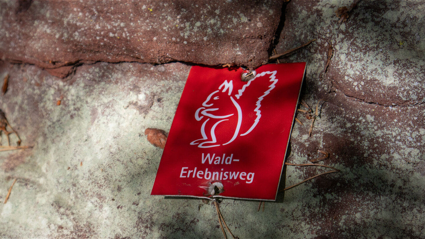 Ein Eichhörnchen auf rotem Grund weist den Weg durch den Wald-Erlebnisweg.