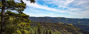 Schwarzwaldpanorma von der Bosensteiner Alm