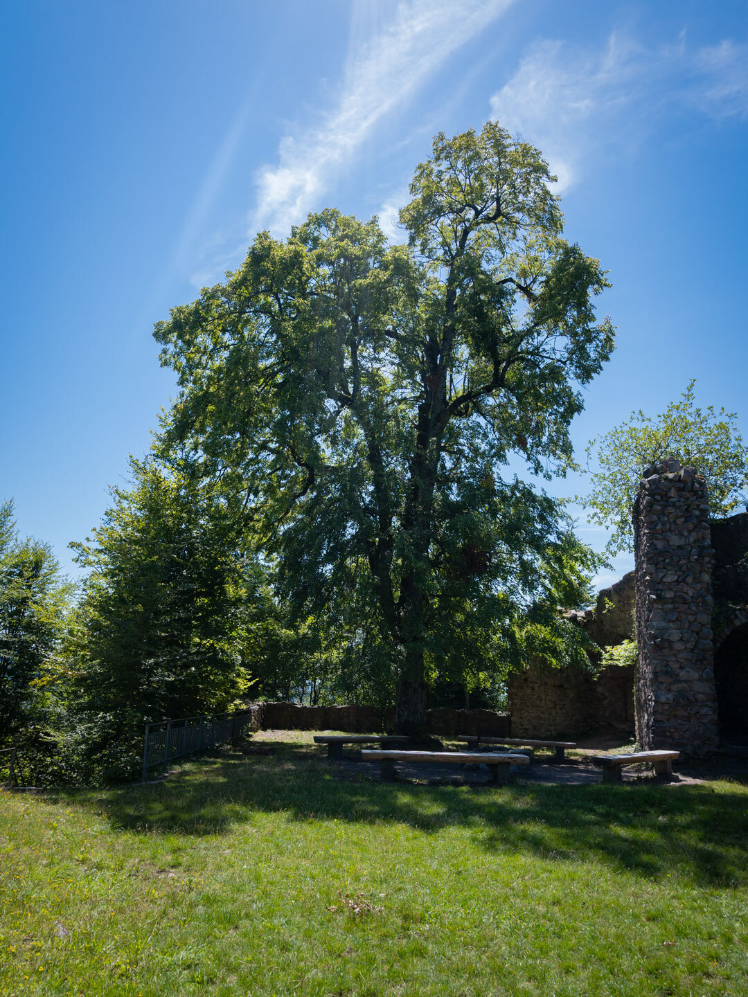 idyllischer Rastplatz an den Resten des Palas der Sausenburg