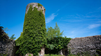 der efeubewachsene Turm der Sausenburg