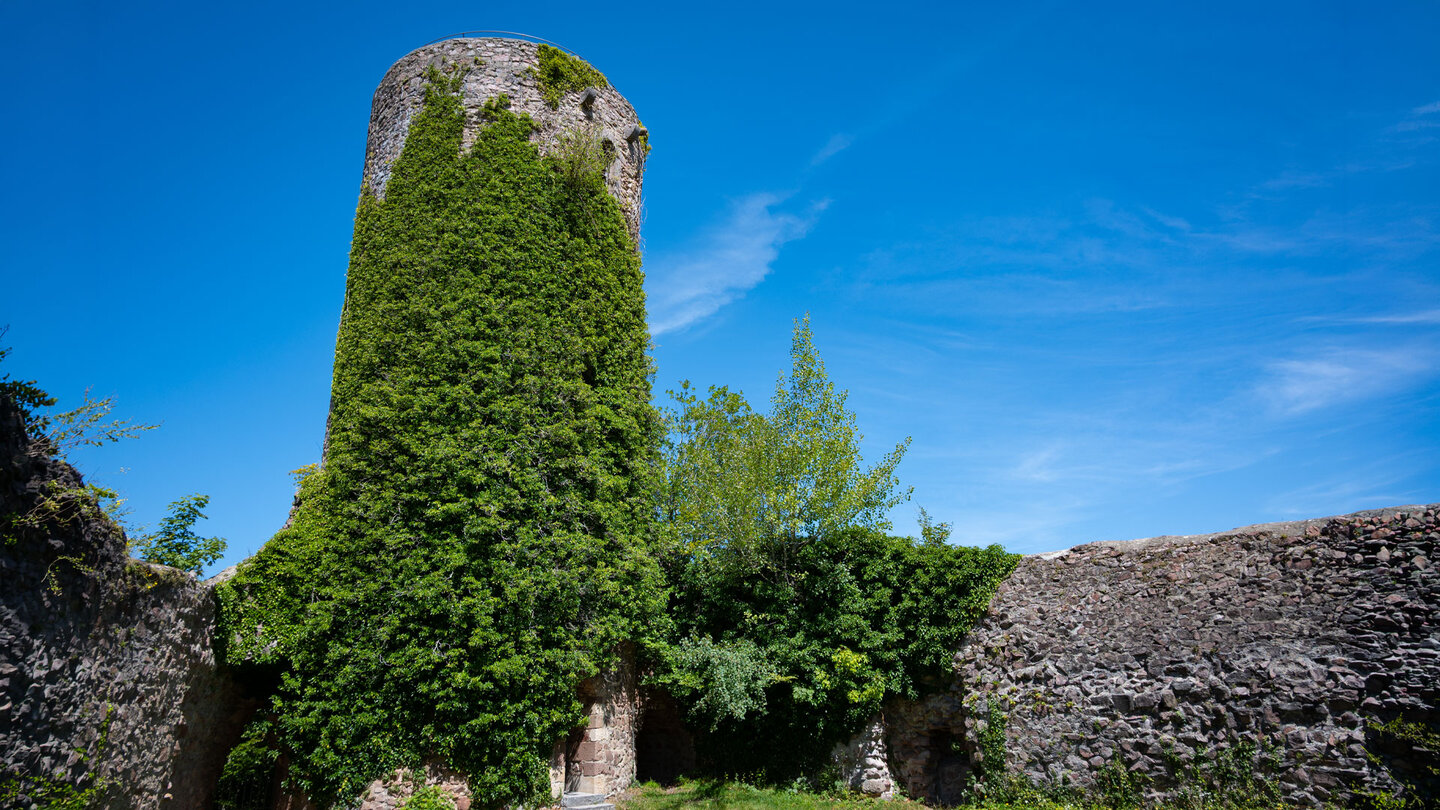 der efeubewachsene Turm der Sausenburg