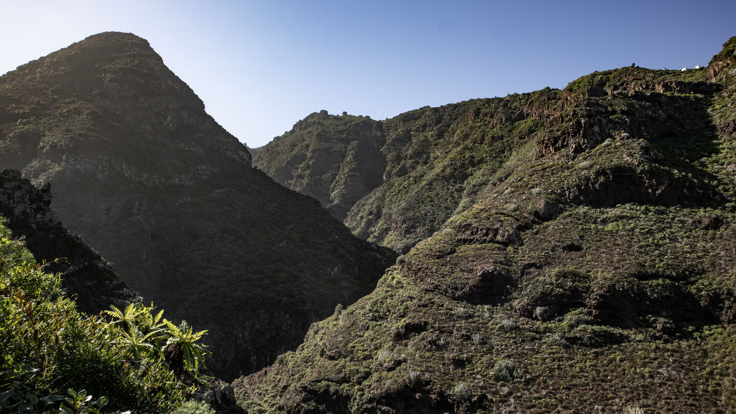 Blick in die Schlucht Barranco de los Hombres