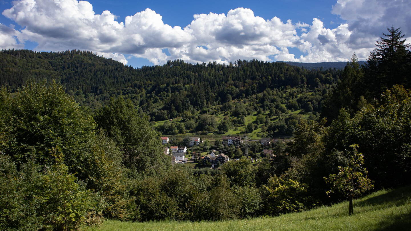 Ausblick auf den Schwarzwald über die letzten Häuser von Forbach