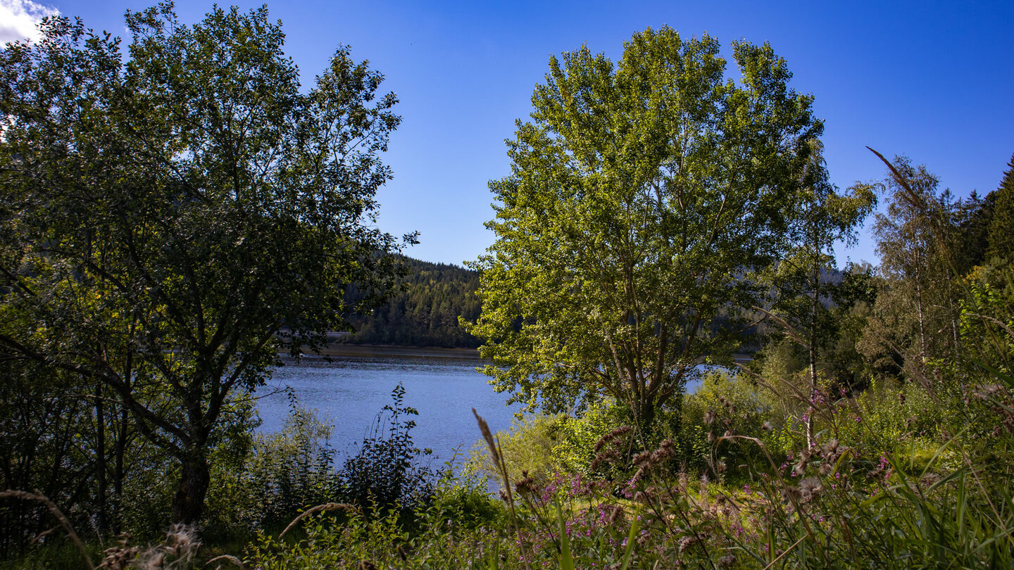 Ausblick auf den Stausee Schwarzenbach-Talsperre