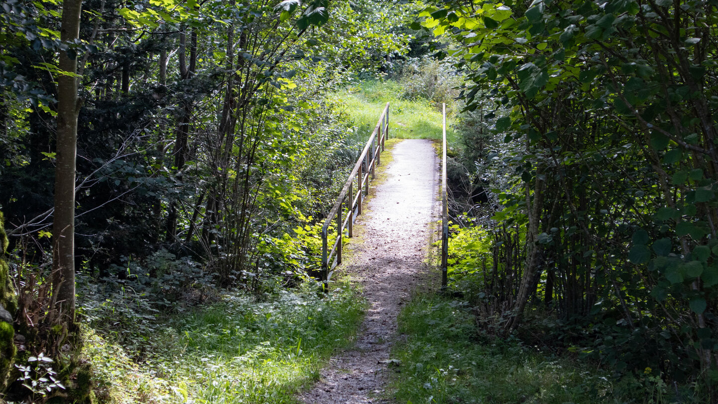 Brücke über die Raumünzach bei Ebersbronn