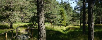 Wege durch das Naturjuwel der WWF-Oase Pian dei Sali auf der feuchten Hochebene