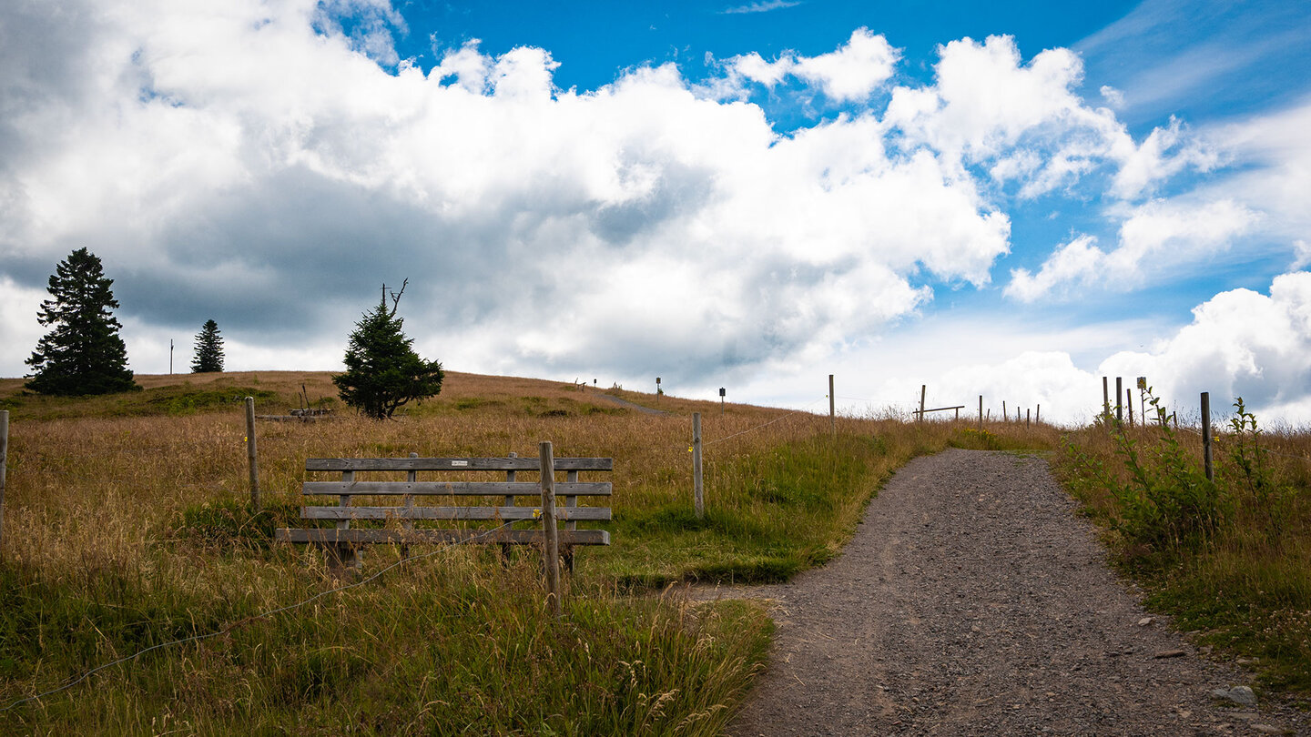 Kiesweg am Aufstieg zum Herzogenhorn