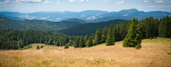 Blick vom Herzogenhorngipfel