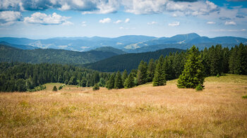 Blick vom Herzogenhorngipfel