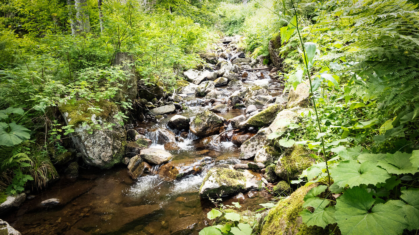 Bachlauf des Prägbachs