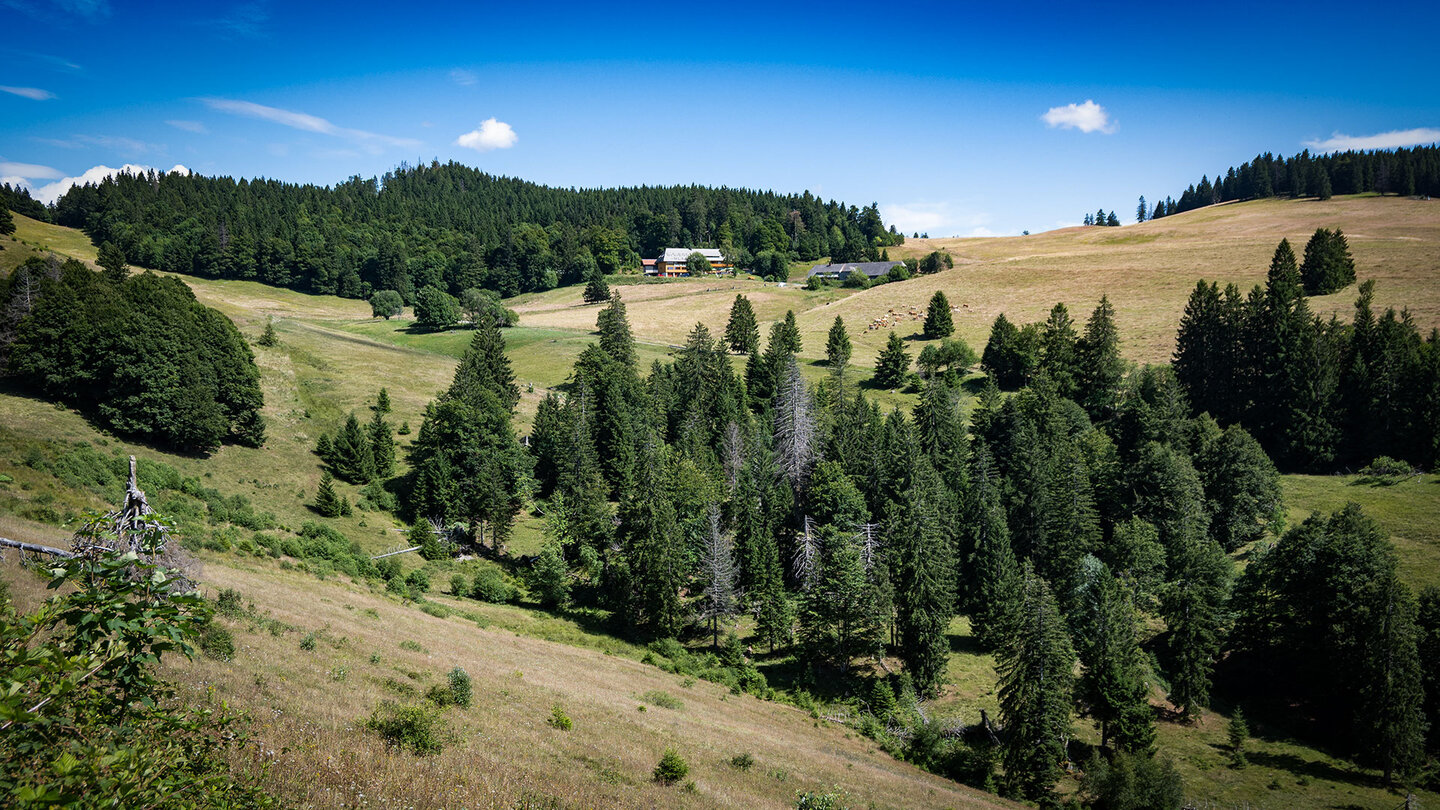 Blick auf die Gisiboden Alm