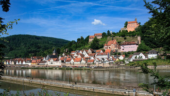 Altstadt des Ortes Hirschhorn am Neckar