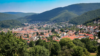 Blick auf Ebersbach im Neckartal