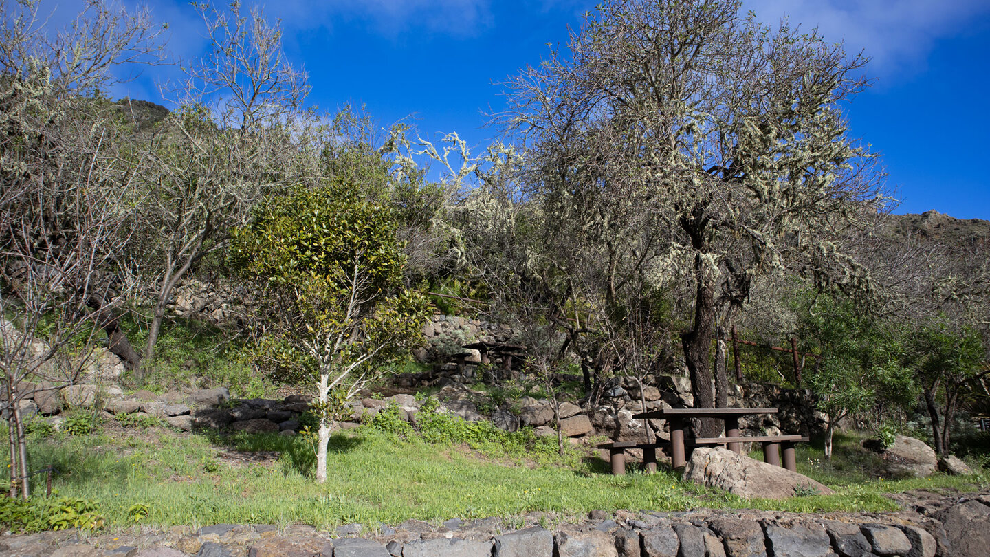 der Campingplatz Los Pedregales im Landschaftspark Teno Campingplatz Los Pedregales im Landschaftspark Teno