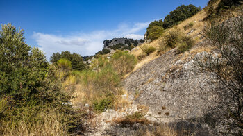 Vegetation der Sierras Subbéticas am Wanderweg