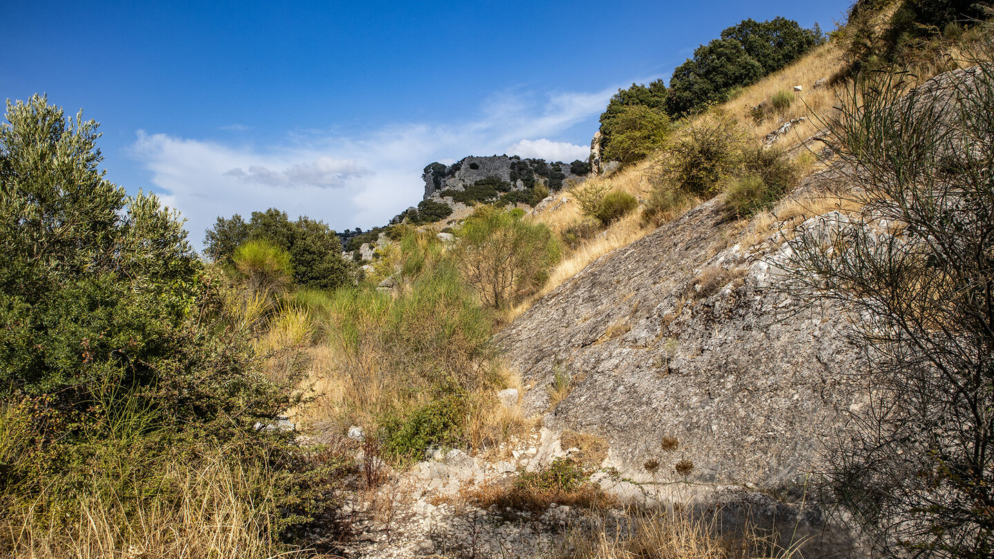 Vegetation der Sierras Subbéticas am Wanderweg
