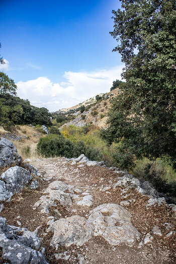 Wanderweg am Río Bailón