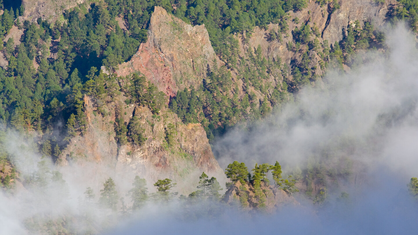 Blick über die tiefen Schluchten des Nationalparks