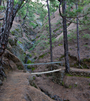 der Wanderweg quert eine kleine Schlucht über eine Brücke