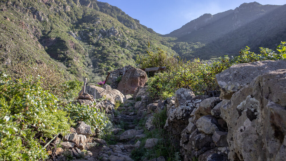 Wandern durch die Kulturlandschaft bei El Draguillo im Anaga Gebirge auf Teneriffa