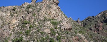 Basaltformationen bei El Draguillo im Anage Gebirge auf Teneriffa