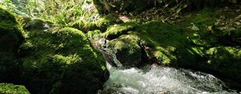 Wanderung am Gottschlägbach