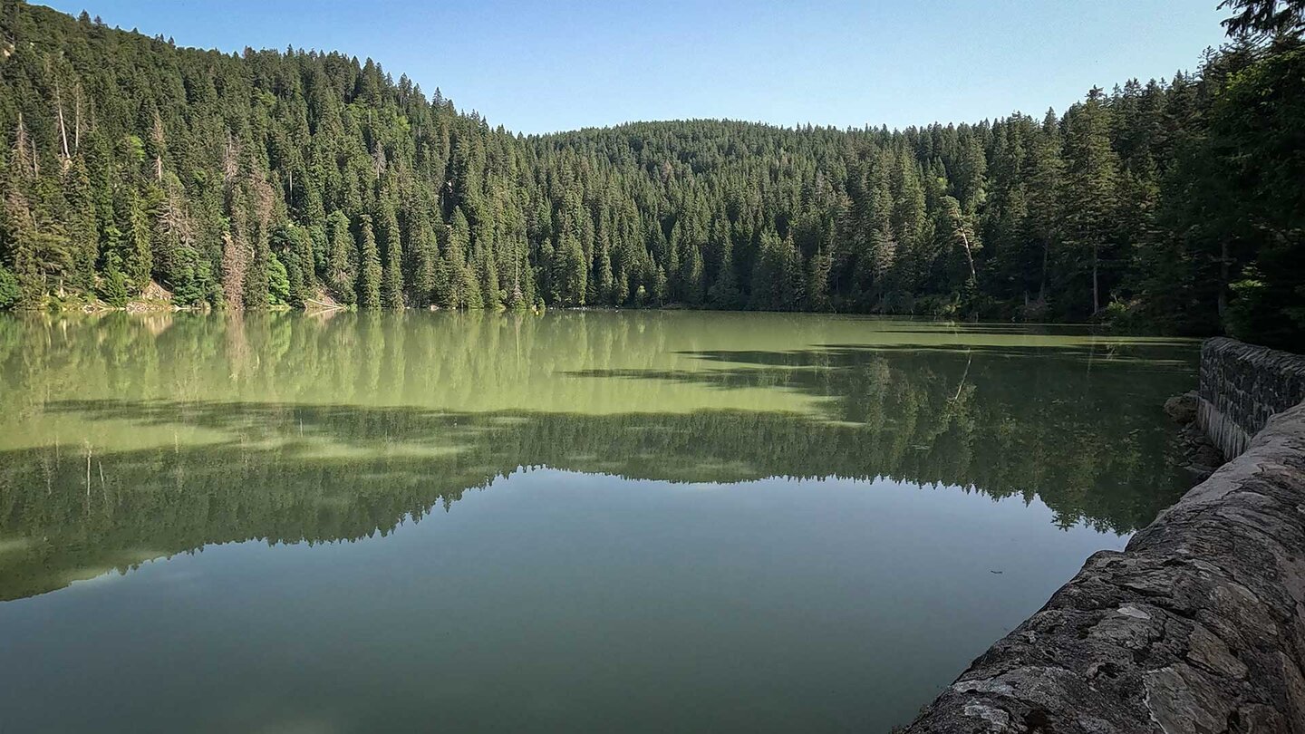 Nadelwälder reichen bis ans Ufer des Lac Vert Nadelwälder reichen bis ans Ufer des Lac Vert