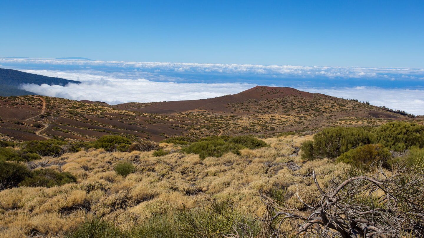 der rötlich gefärbte Montaña Limón auf der Wanderung 21