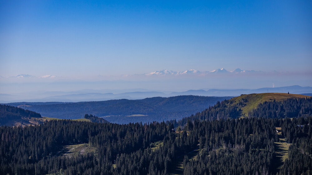 Alpenpanorama vom Feldberg