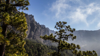 die Steilwände der Caldera de Taburiente