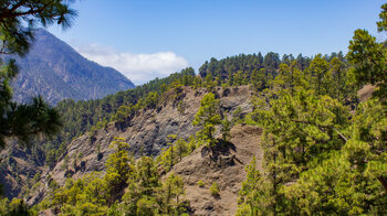 traumhafter Ausblick über die Landschaft der Caldera de Taburiente