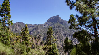 Ausblick über die Caldera mit der Felsspitze Roque Idafe und Pico Bejenado