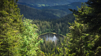 der Schurmsee – ein Relikt aus der Eiszeit