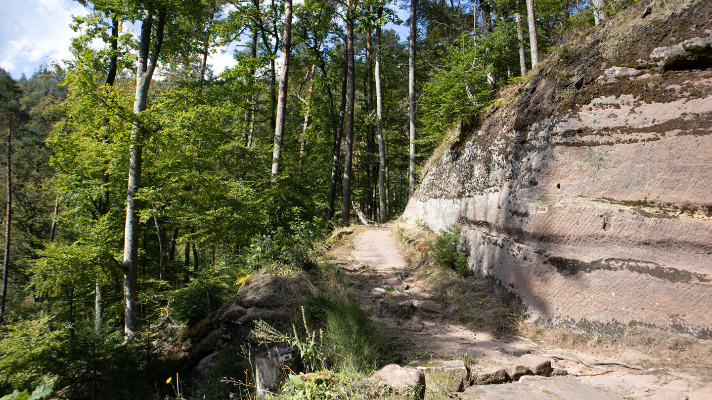 malerischer Wanderweg oberhalb der Froensbourg