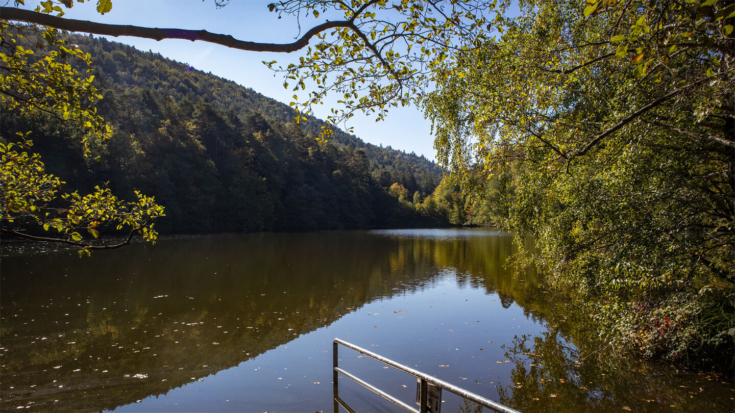 Naturbadesee Seehofweiher im Portzbachtal, Badestelle mit Geländer und Waldhang im Hintergrund, Erlenbach bei Dahn