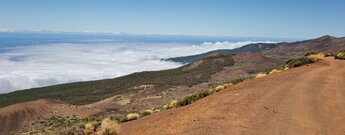 Blick übers Wolkenmeer von der Pista de Montaña Limón;