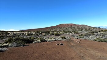 der rote Vulkankegel des Montaña Limón vom Wanderweg