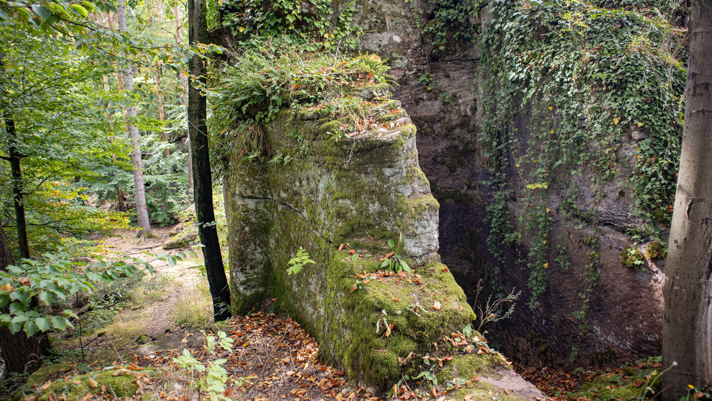 behauene Felsen der Burgruine Mittel-Windstein