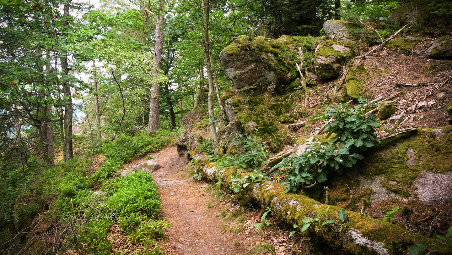 Wanderung von Weisenbach zum Dachsstein über die Rockertfelsen