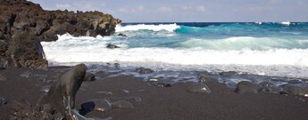 die Playa de la Madera bei Tinajo auf Lanzarote