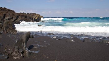 die Playa de la Madera bei Tinajo auf Lanzarote