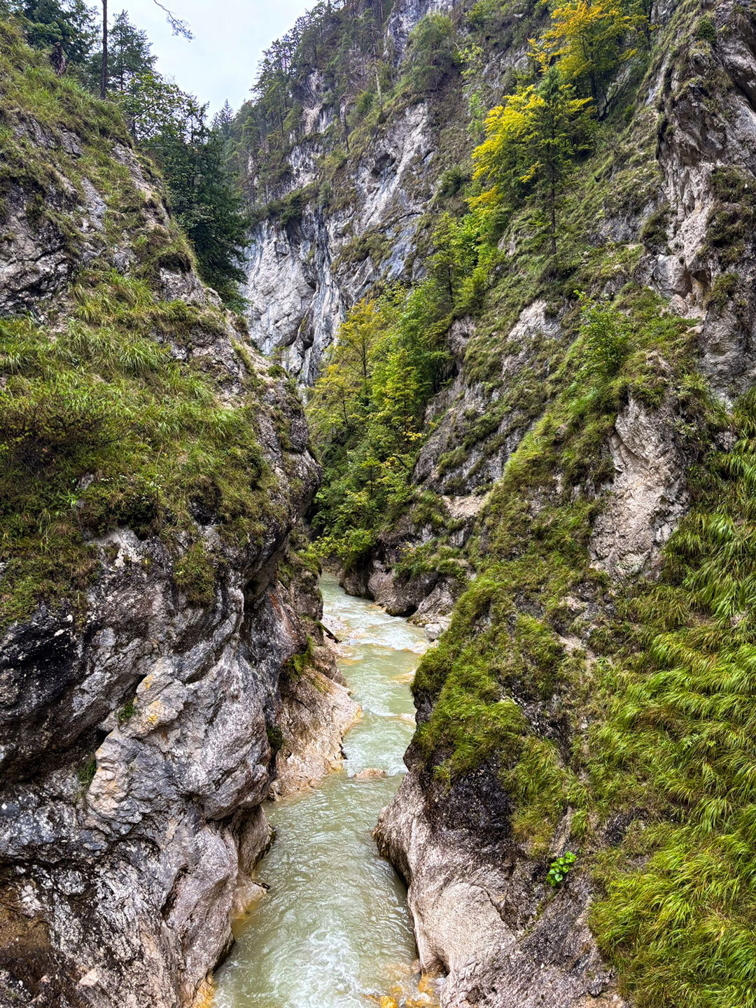 die Sparchenklamm mit dem wild fließenden Kaiserbach