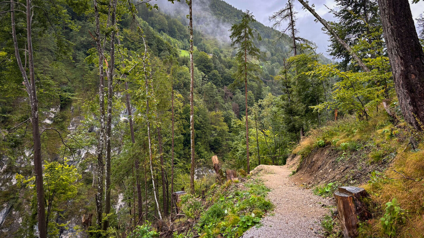 der Wanderweg oberhalb des Kaiserbachs